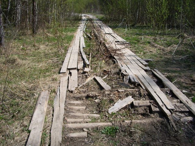 Туземцы России обречены на жизнь по чужим правилам