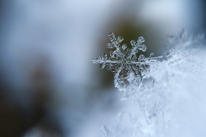 Со снегом в Петербурге ВРИО Беглову очень повезло