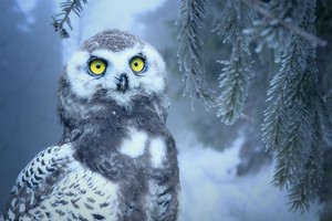 Беглов и не собирается быть губернатором Петербурга