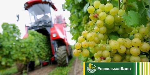 Кристофер Нолан адаптирует «Одиссею» Гомера для нового фильма